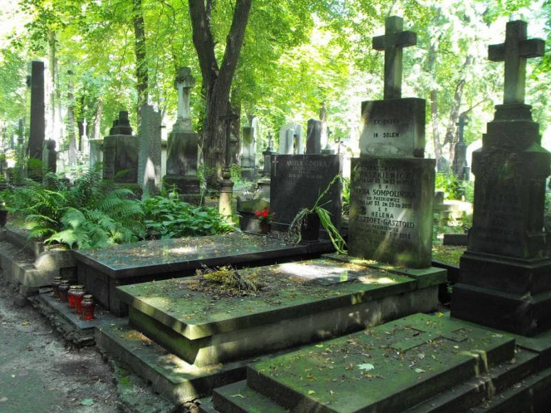 Zdjęcie grobu Witold Paszkiewicz (1)