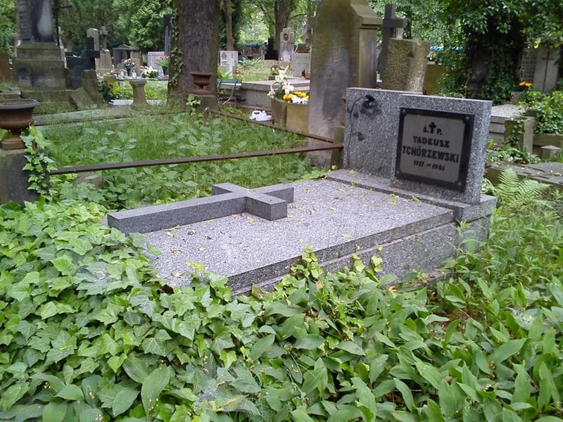 Zdjęcie grobu: Tadeusz Tchórzewski