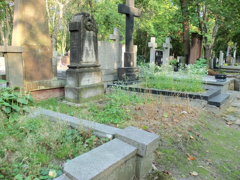 Zdjęcie grobu Elżbieta Langwińska (1)