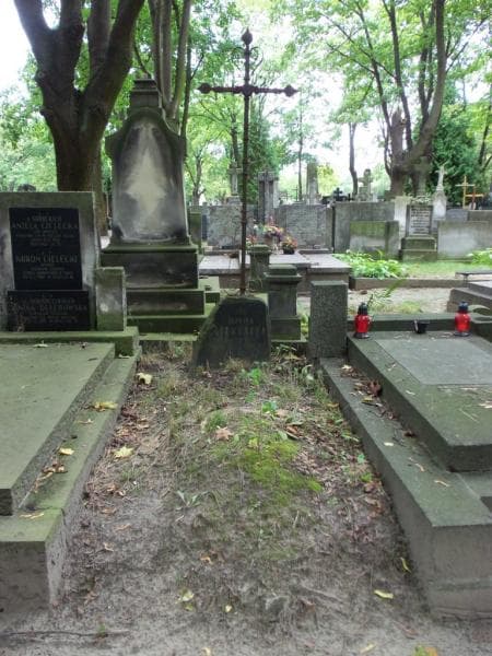 Zdjęcie grobu: Ludwika Liemanowa