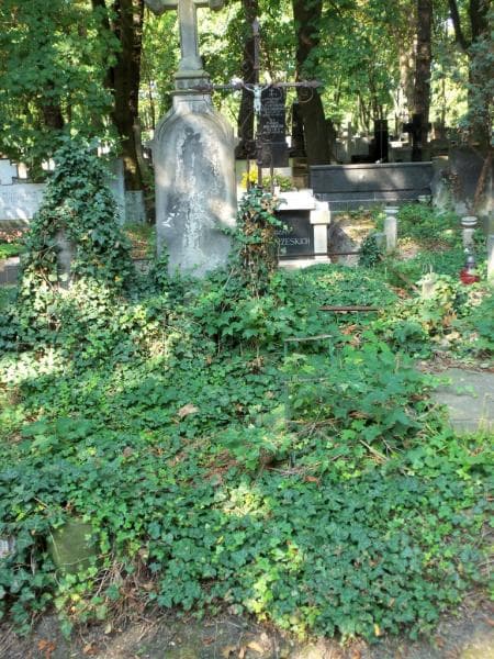 Zdjęcie grobu: Szczepan Balcerkiewicz