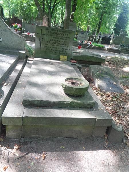 Zdjęcie grobu Janina Frankowska (1)