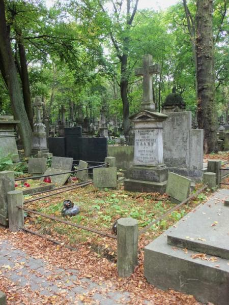 Zdjęcie grobu Leonia Naake (1)