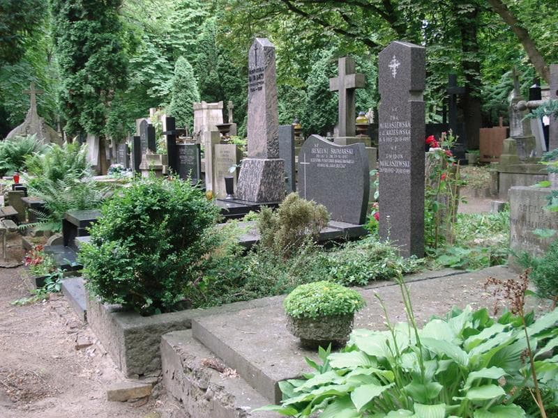 Zdjęcie grobu: Gwidon Miklaszewski