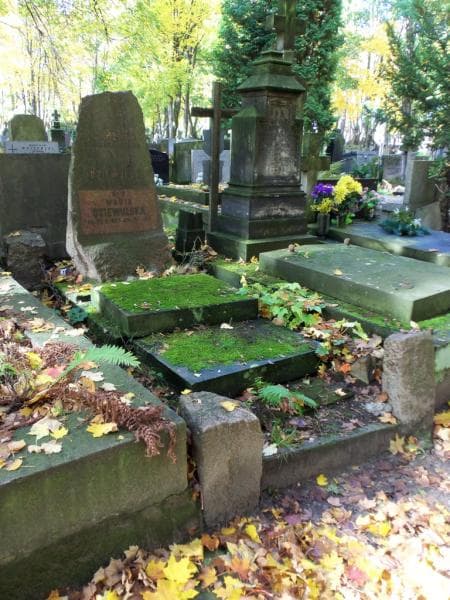 Zdjęcie grobu Maria Dziewulska (1)