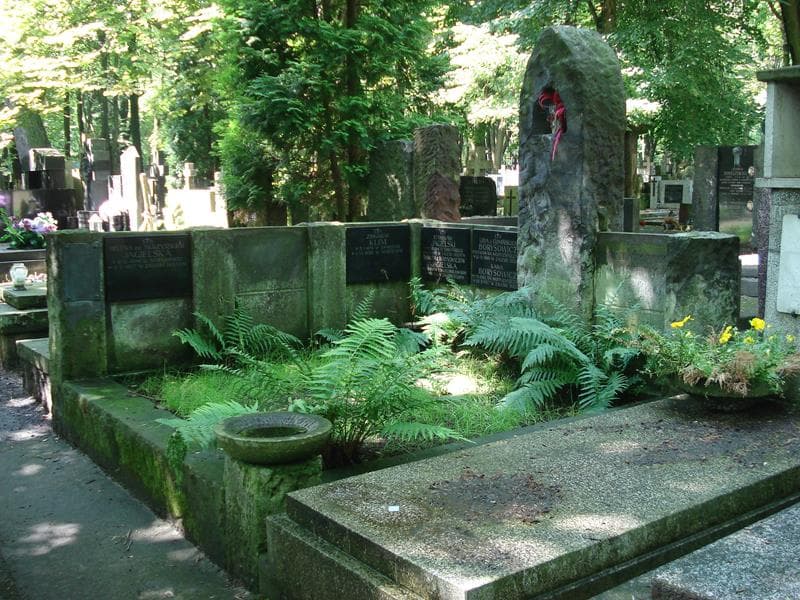 Zdjęcie grobu Karol Borysowicz (1)