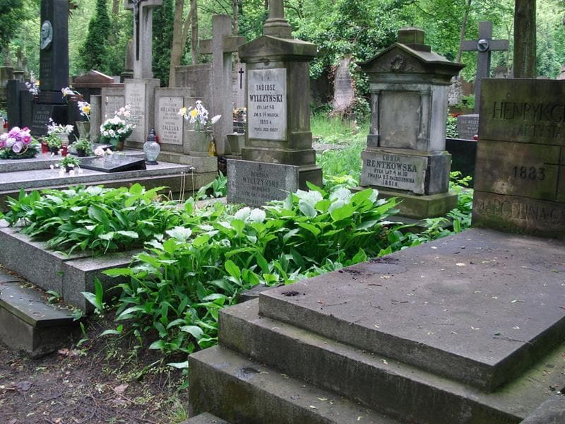 Zdjęcie grobu: Lusia Bentkowska
