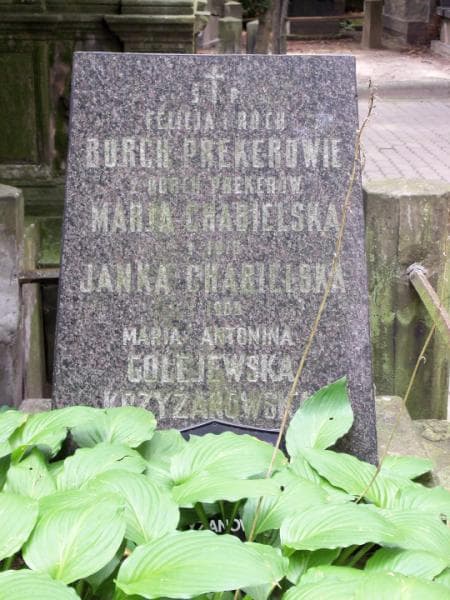 Zdjęcie grobu Roch Borch Preker (2)