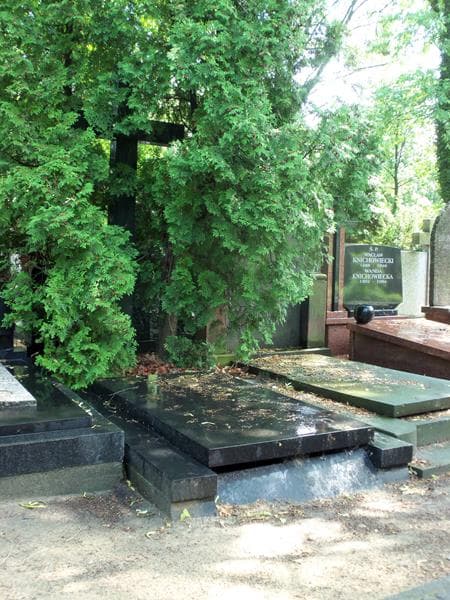 Zdjęcie grobu Jan Horwatt Bożyczko (1)