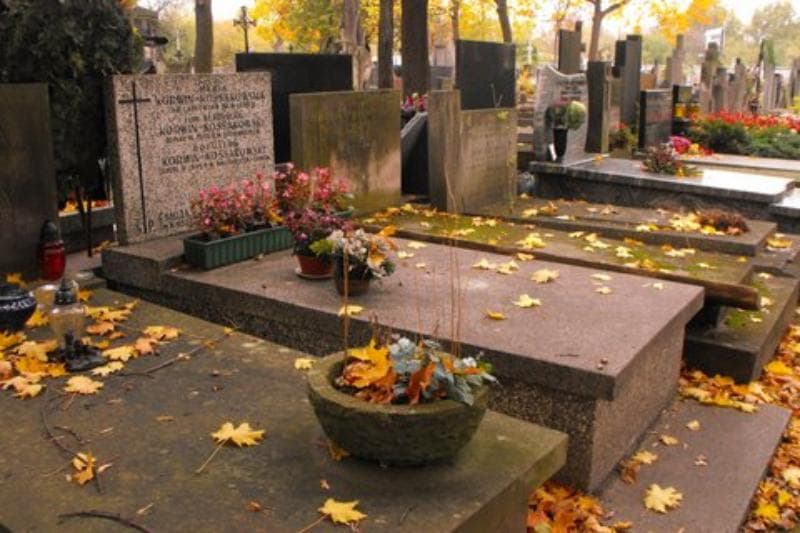 Zdjęcie grobu Emilia Langiert (1)