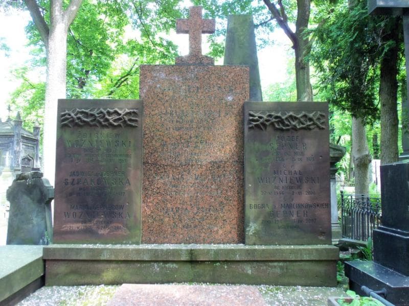 Zdjęcie grobu Michał Woźniewski (2)