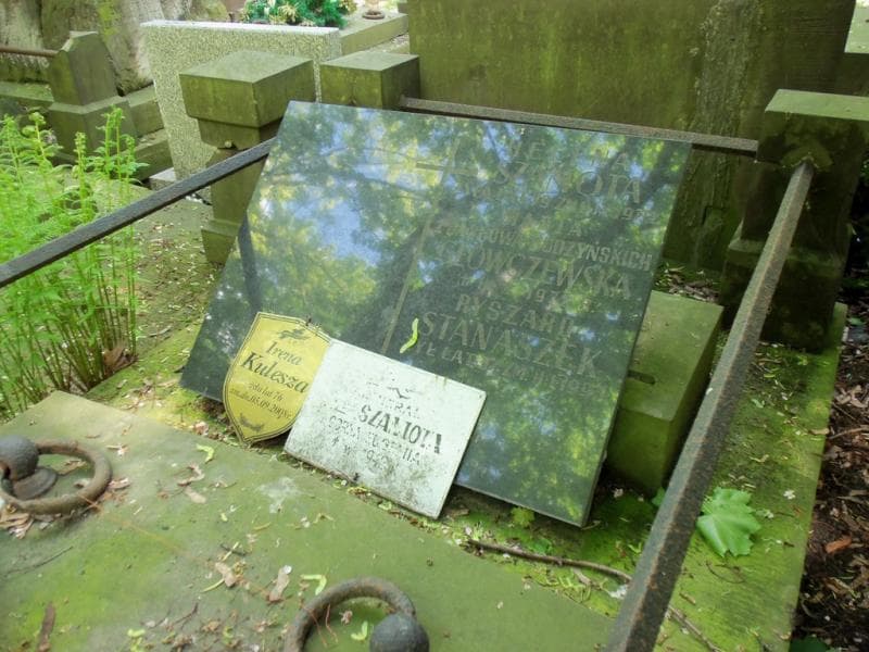 Zdjęcie grobu Maria Główczewska (2)