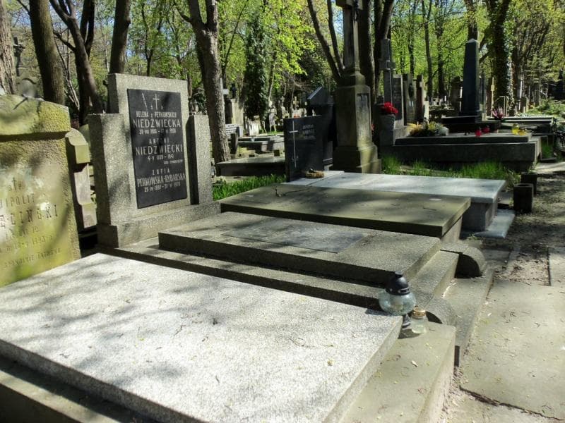 Zdjęcie grobu Jan Perkowski (1)