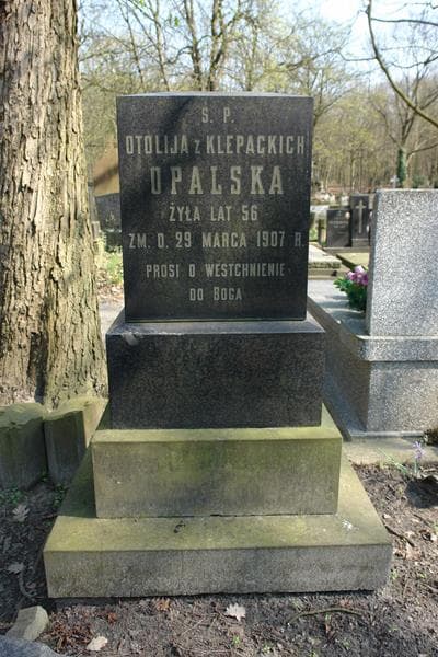 Zdjęcie grobu Otolija Opalska (1)
