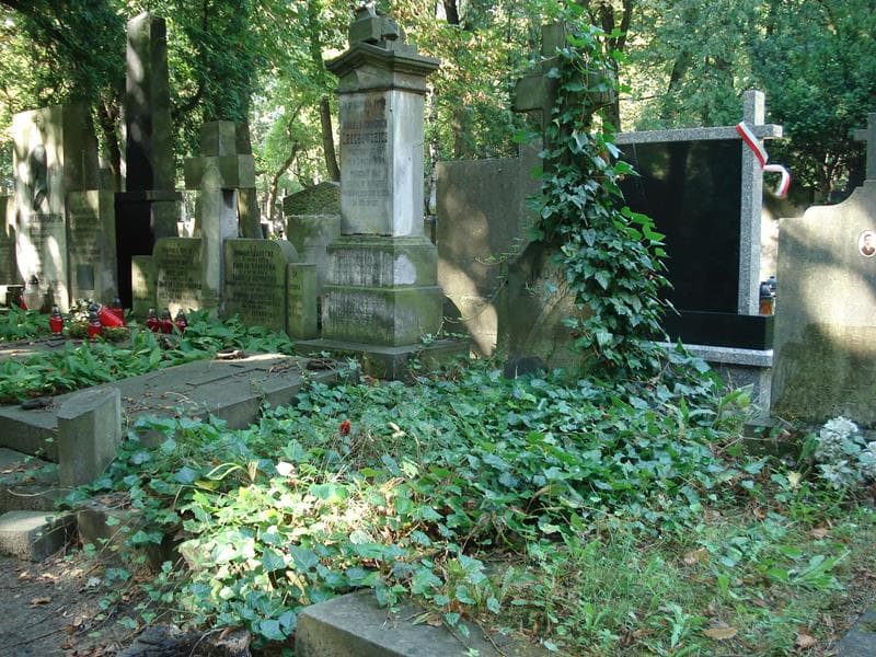 Zdjęcie grobu Jadwiga Serkowska (1)