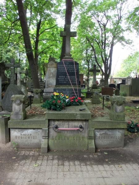 Zdjęcie grobu: Bronisława Babicka