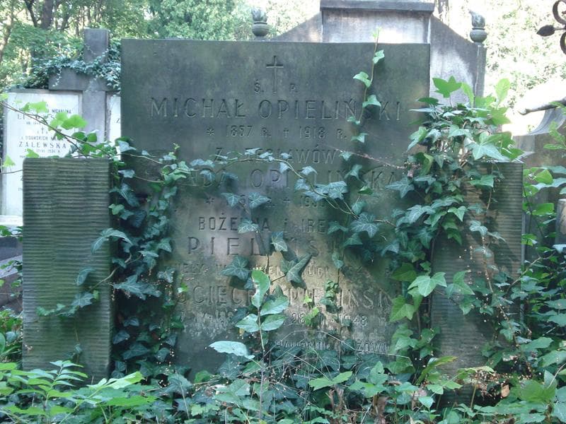 Zdjęcie grobu Michał Opieliński (2)