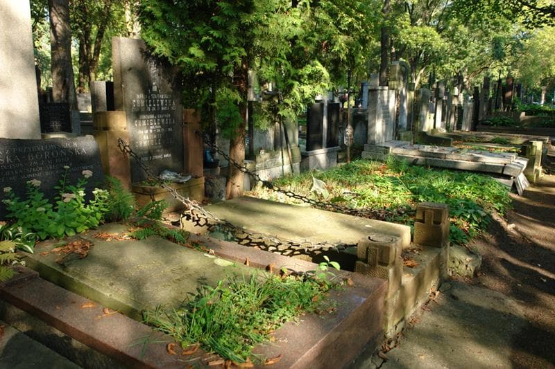 Zdjęcie grobu Bronisława Chmielewska (1)