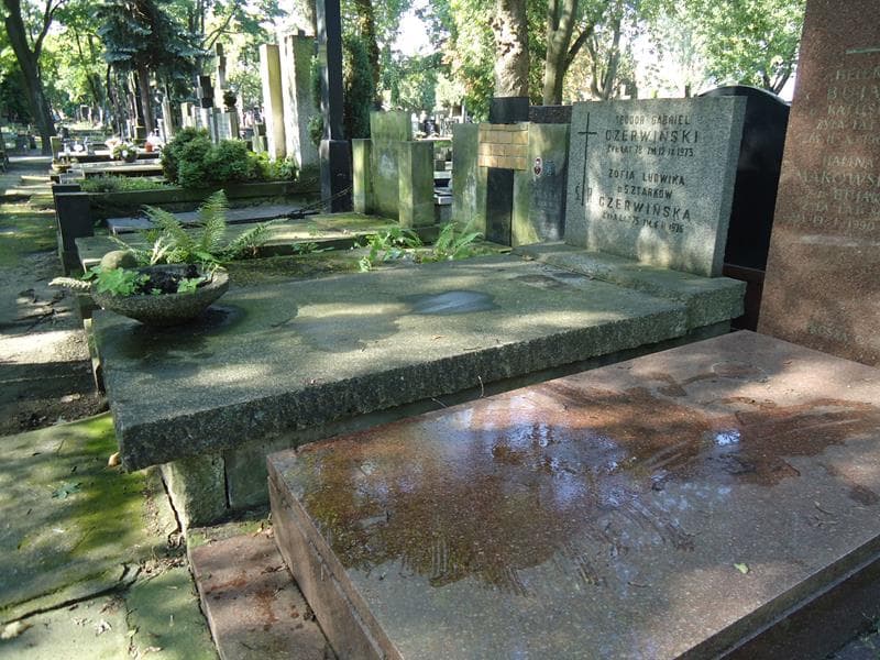 Zdjęcie grobu Zofia Ludwika Czerwińska (1)