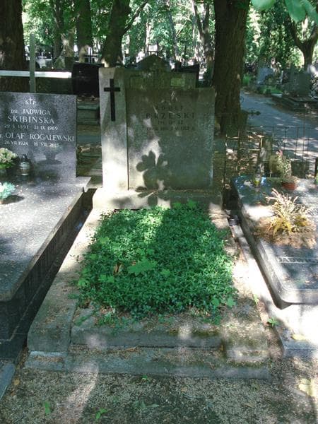 Zdjęcie grobu: Adolf Brzeski