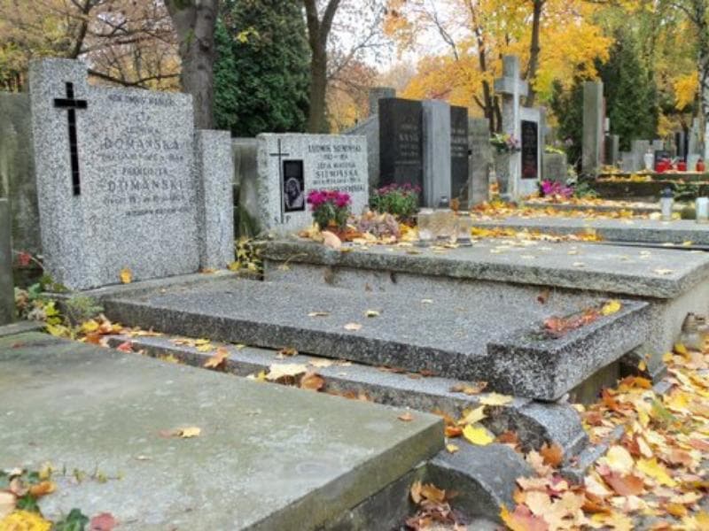 Zdjęcie grobu Ludwika Domańska (1)