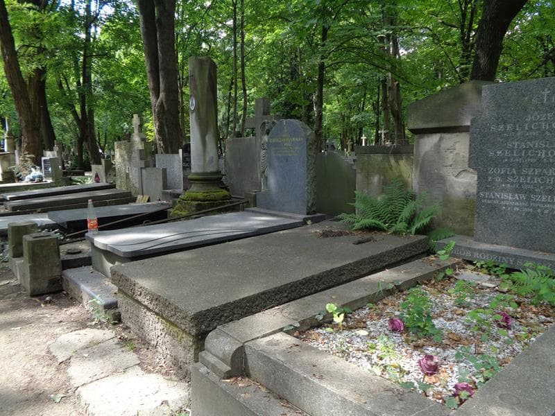 Zdjęcie grobu: Romuald Dziewulski