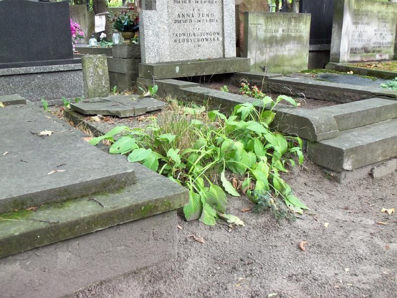 Zdjęcie grobu Bolesław Onichimowski (1)