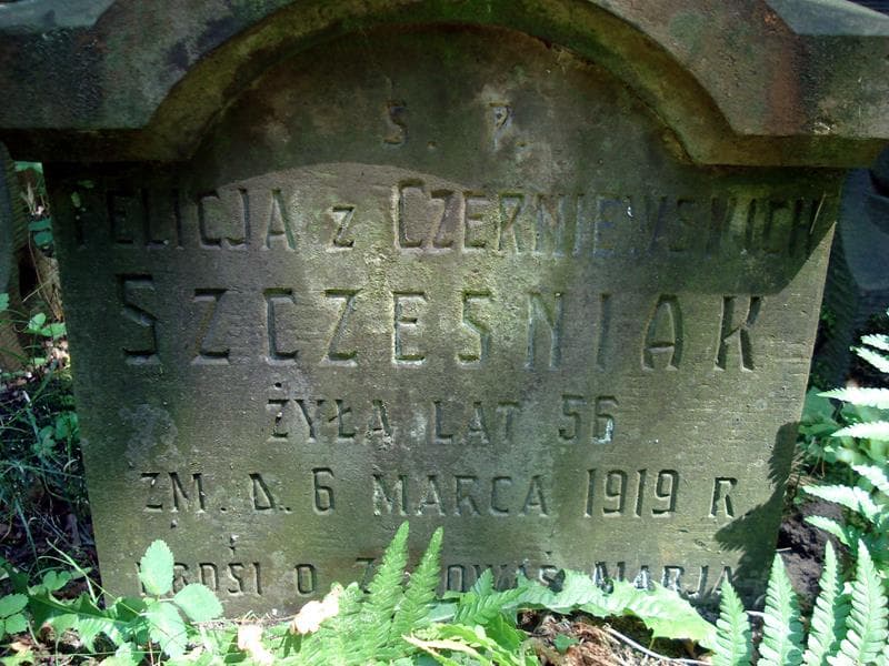 Zdjęcie grobu Felicja Szcześniak (2)