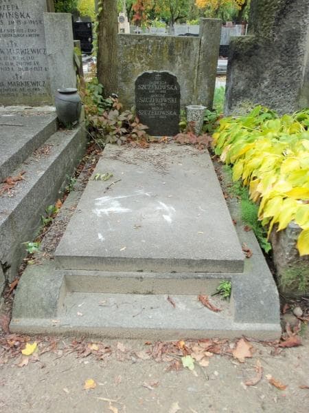 Zdjęcie grobu: Jadwiga Szczekowska