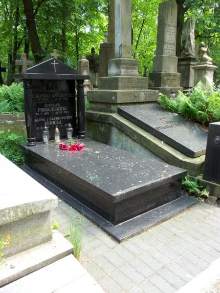 Zdjęcie grobu Zdzisław Pobóg-Elwicki (1)