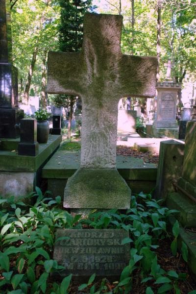 Zdjęcie grobu Antoni Czartoryski (2)