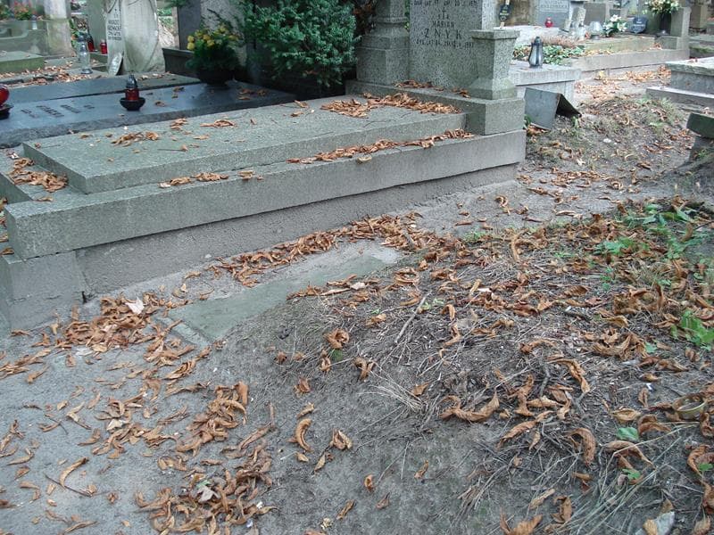 Zdjęcie grobu Teodozya Hoffman (1)