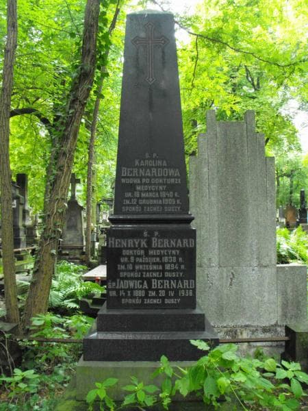 Zdjęcie grobu Henryk Bernard (2)