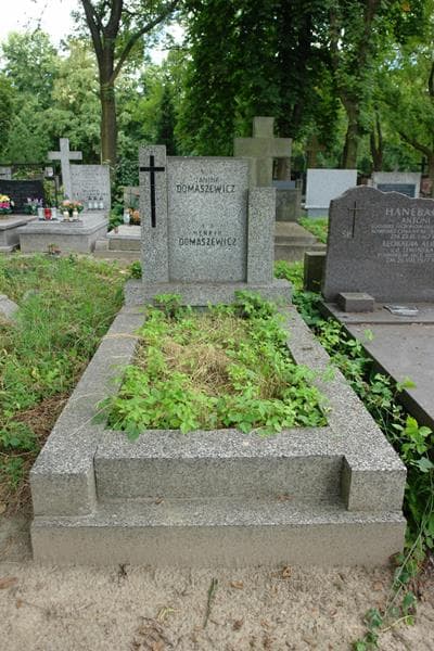 Zdjęcie grobu Henryk Domaszewicz (1)