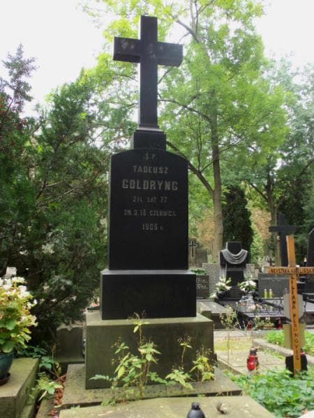 Zdjęcie grobu Jakób Goldryng (2)