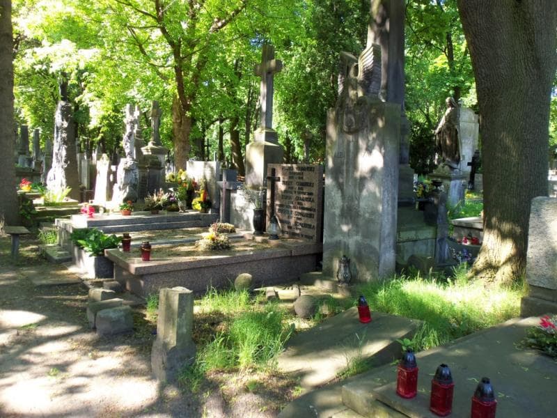 Zdjęcie grobu Regina Danysz-Fleszarowa (1)