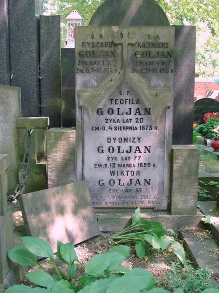 Zdjęcie grobu Teofila Goljan (2)