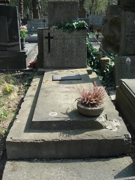 Zdjęcie grobu: Władysław Luterek