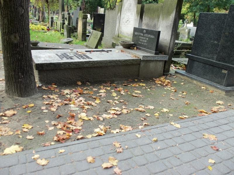 Zdjęcie grobu Pole Grobowe (1)