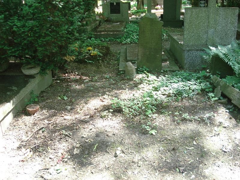 Zdjęcie grobu: Pole Grobowe