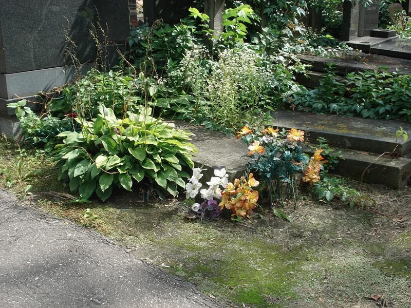 Zdjęcie grobu Maria Chabłowska (1)