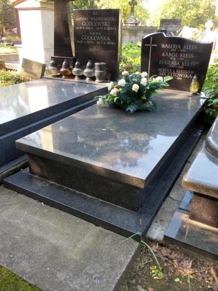 Zdjęcie grobu Karol Kless (1)