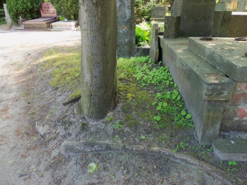 Zdjęcie grobu: Pole Grobowe