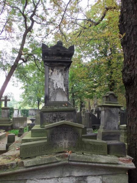 Zdjęcie grobu Leonard Józef Tour (2)