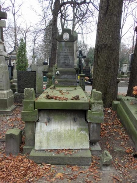 Zdjęcie grobu: Bolesław Czyż