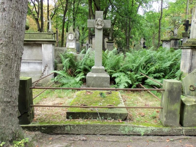 Zdjęcie grobu: Alojzy Chludziński