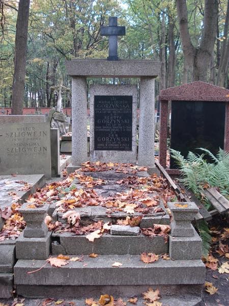 Zdjęcie grobu: Henryk Górzyński