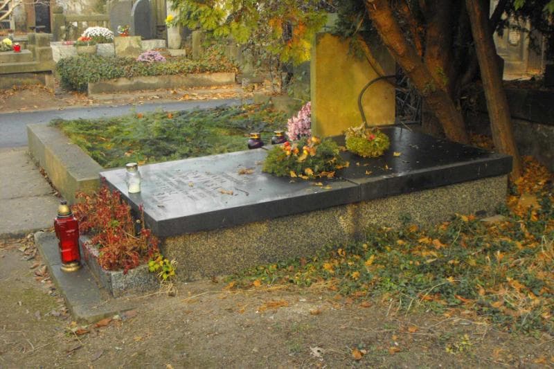 Zdjęcie grobu Tadeusz Rowinski (1)