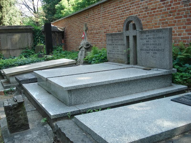 Zdjęcie grobu Edward Hamuliński (1)