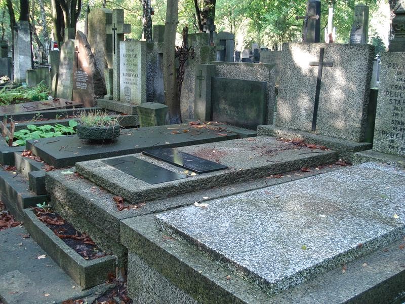 Zdjęcie grobu: Alicja Zbrożek